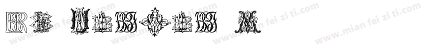 en yougou w字体转换